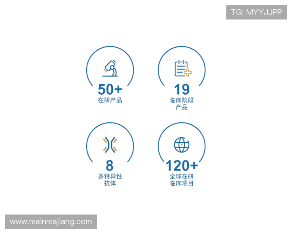 尊龙凯时注册流程详解新手快速入门的完整操作指南